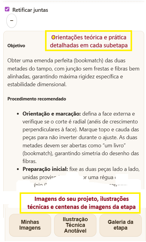 imagem de uma subetapa do App Método Baratieri - que organiza, guia e acompanha a construção de instrumentos de cordas do início ao fim